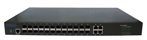 Switch S3928GX
